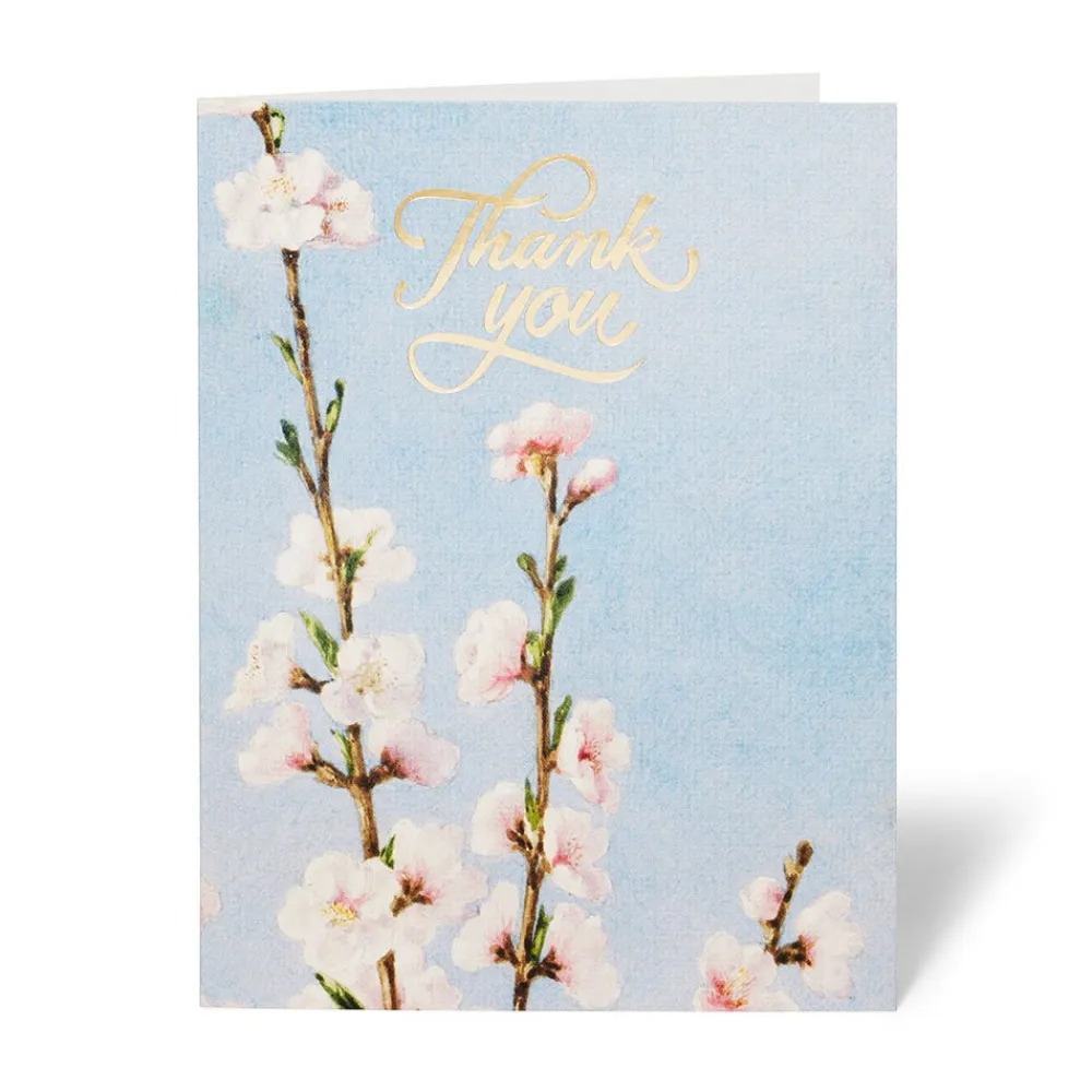 Outlet The Met Store American Florals Thank-You Cards
