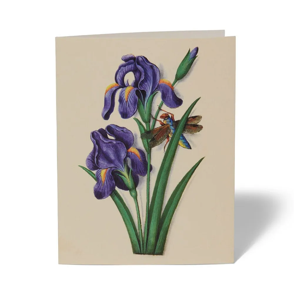 Outlet The Met Store The Met Cloisters Garden Notecards