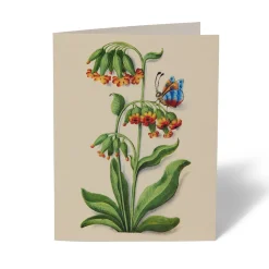 Outlet The Met Store The Met Cloisters Garden Notecards