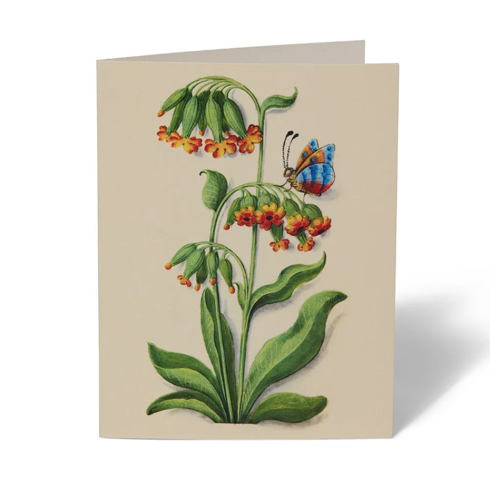 Outlet The Met Store The Met Cloisters Garden Notecards