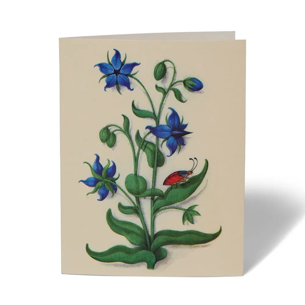 Outlet The Met Store The Met Cloisters Garden Notecards