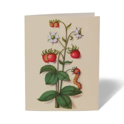 Outlet The Met Store The Met Cloisters Garden Notecards