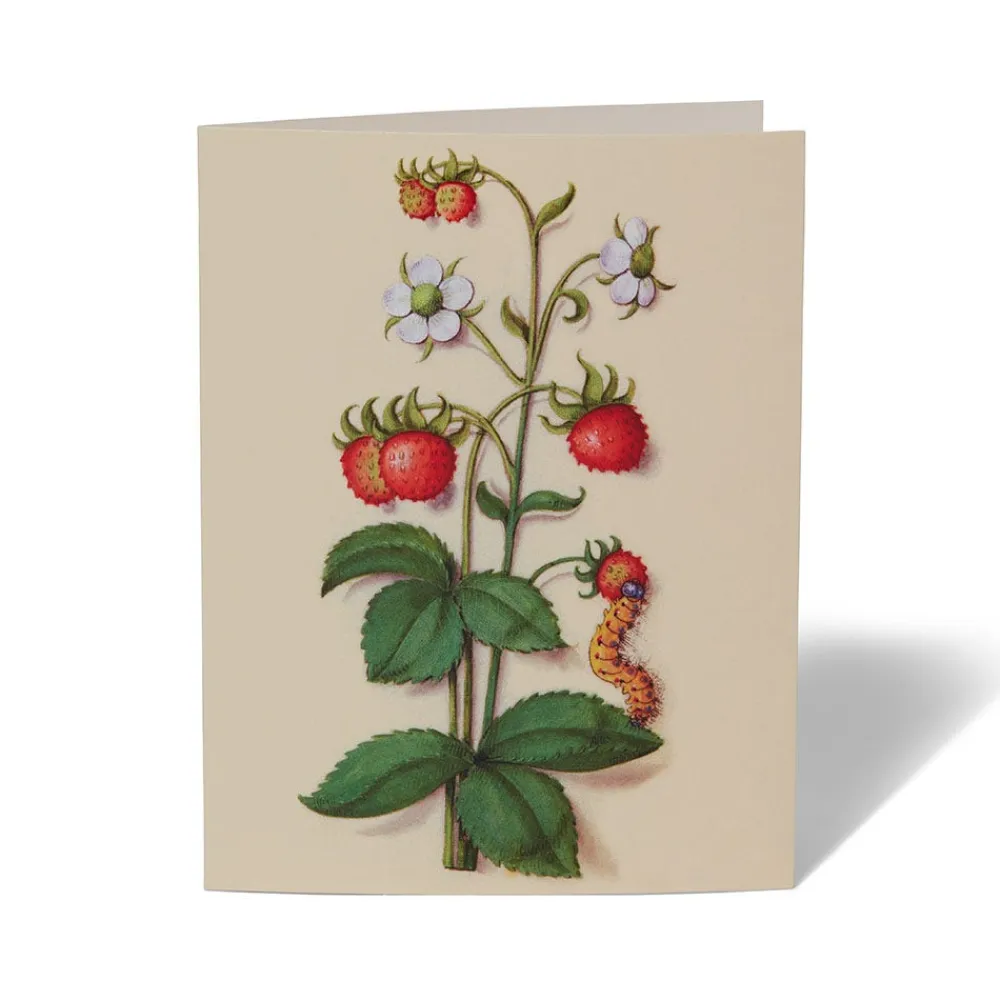 Outlet The Met Store The Met Cloisters Garden Notecards