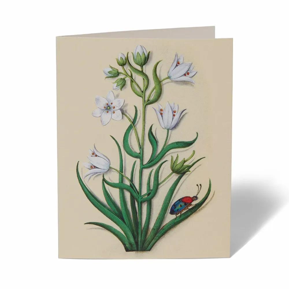 Outlet The Met Store The Met Cloisters Garden Notecards