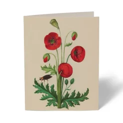Outlet The Met Store The Met Cloisters Garden Notecards