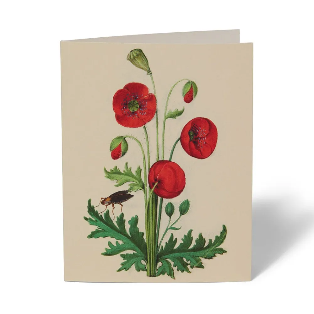 Outlet The Met Store The Met Cloisters Garden Notecards