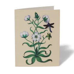 Outlet The Met Store The Met Cloisters Garden Notecards