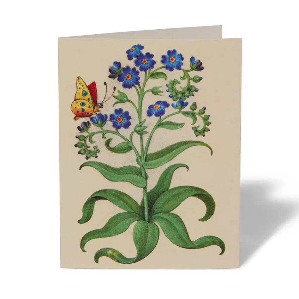 Outlet The Met Store The Met Cloisters Garden Notecards